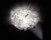 Veli Prisma | Slamp