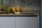 Gamma | Arclinea