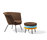 Little & Big Tom | Lampert, Richard