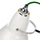 Duo | Anglepoise Ltd