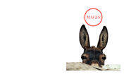 Magis Magis Catalogue 2010