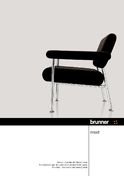 Brunner meet