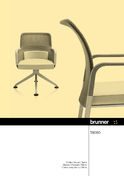Brunner taceo