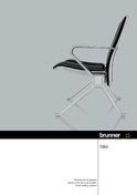 Brunner take