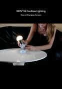Neoz Lighting Neoz Charging System 2010