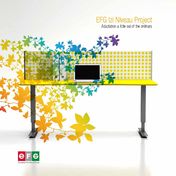 EFG EFG Izi Niveau Project