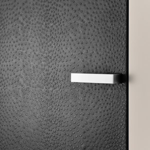 DOORS WITH SPECIAL SURFACES