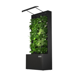 GREEN WALL WITH AIR FILTRATION