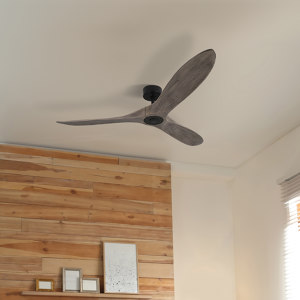 CEILING FANS