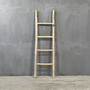 LADDERS