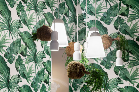 imm cologne