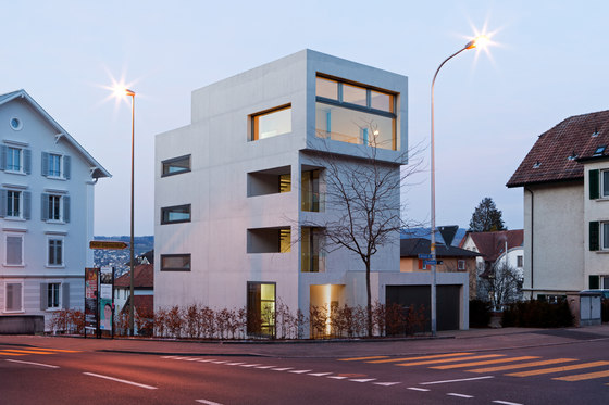 Townhouse Horgen | Casas Unifamiliares | moos. giuliani. herrmann. architekten.