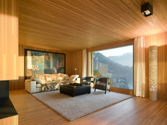 Huse holiday house, Vitznau de alp Architektur Lischer Partner | Casas Unifamiliares