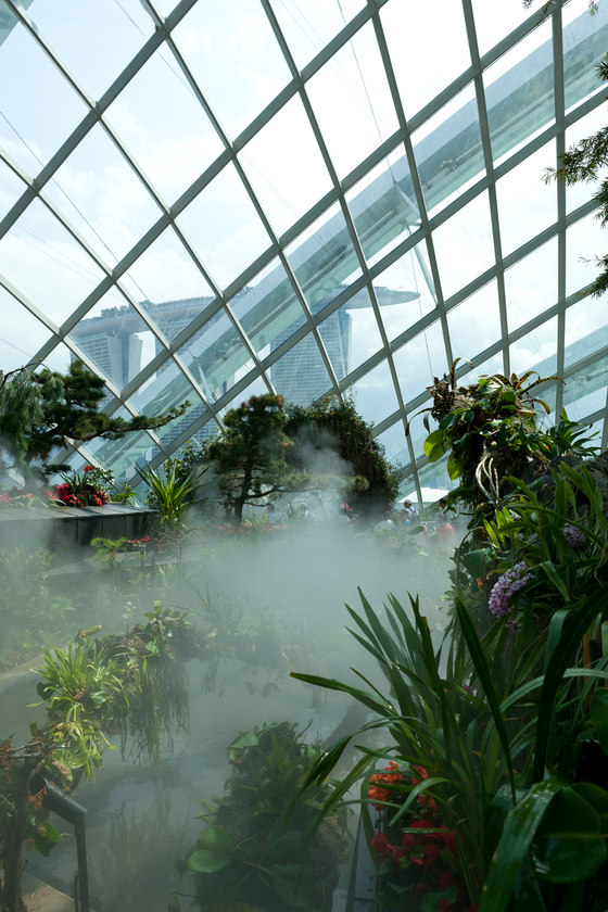 Cooled Conservatories at Gardens by the Bay by WilkinsonEyre | Museums