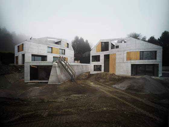 Villa Ensemble | Detached houses | Andreas Fuhrimann  Gabrielle Hächler Architekten