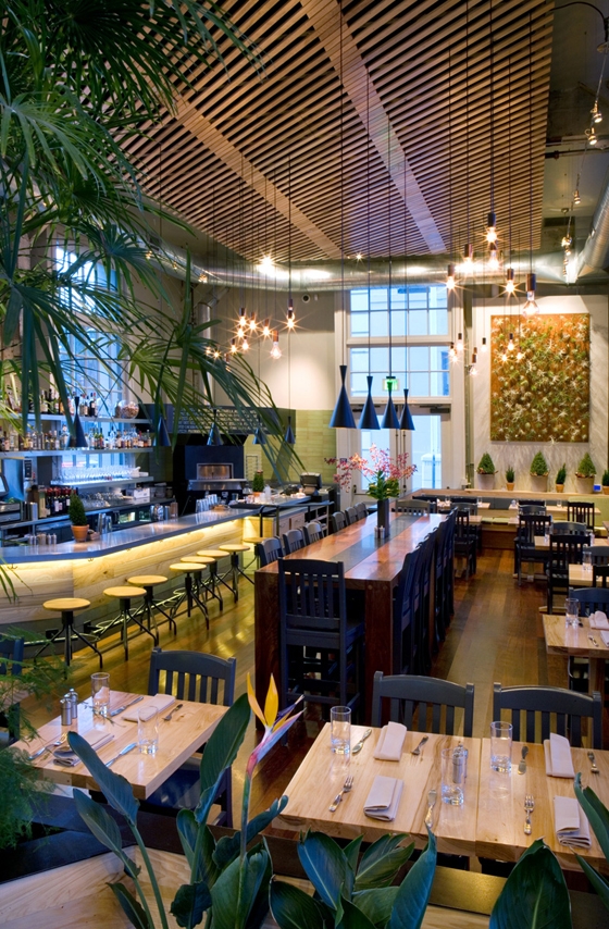 The Plant: Café Organic at Pier 3 | Restaurantes | CCS ARCHITECTURE