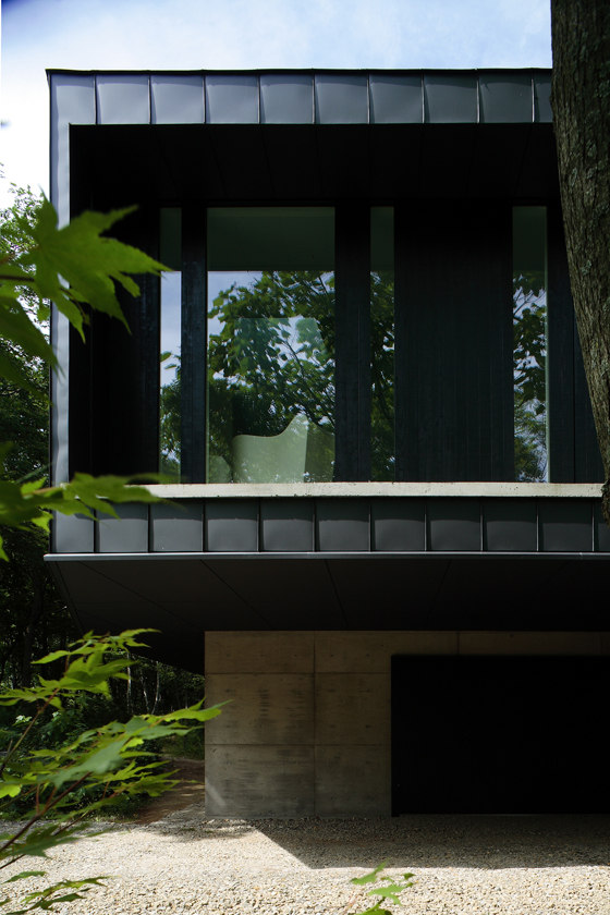 House in Forest | Casas Unifamiliares | Akasaka Shinichiro Atelier