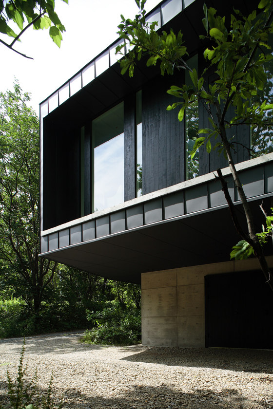 House in Forest | Case unifamiliari | Akasaka Shinichiro Atelier
