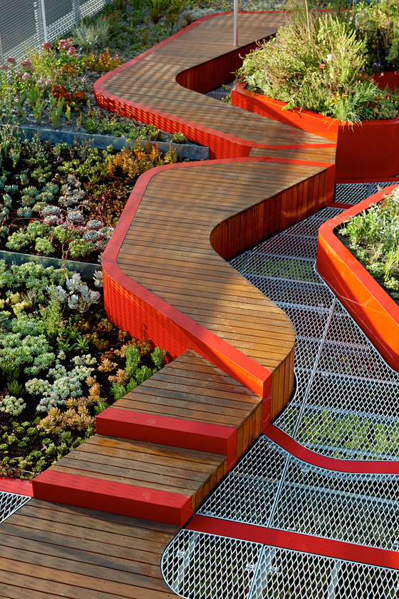 Burnley Living Roofs | Universities | HASSELL