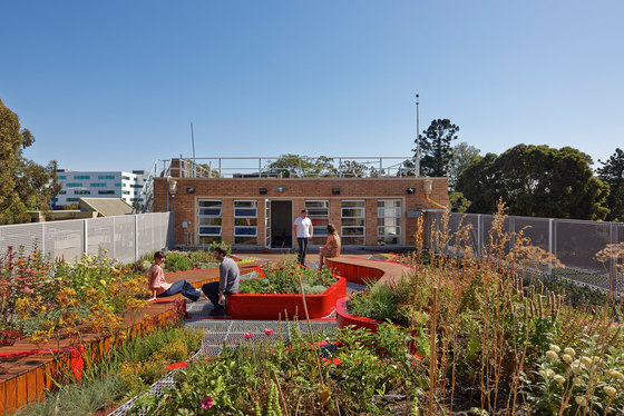 Burnley Living Roofs | Universities | HASSELL