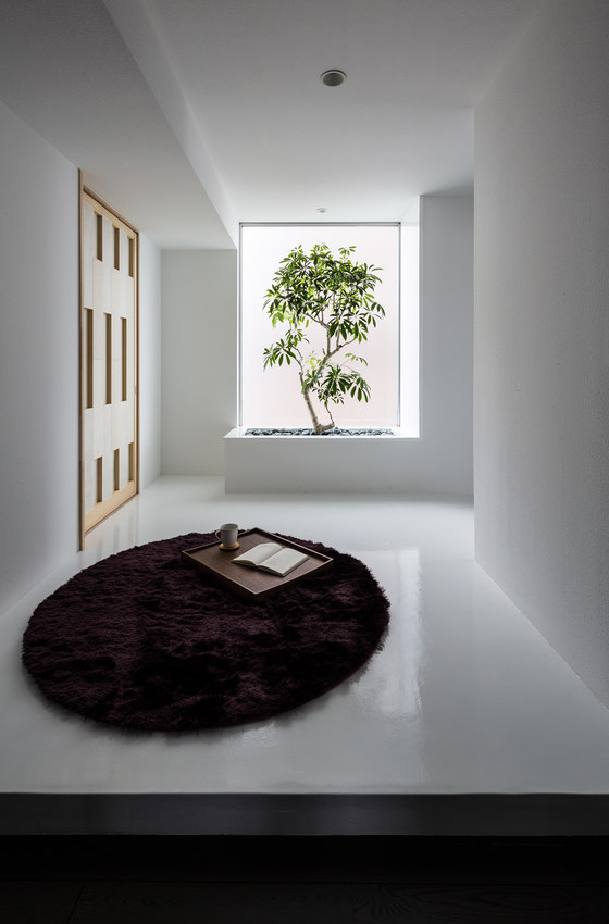Complex M | Maisons particulières | FORM / Kouichi Kimura Architects