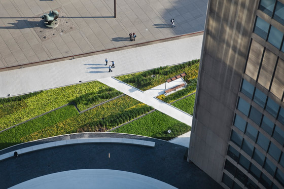Nathan Phillips Square by Hoerr Schaudt Landscape Architects | Gardens