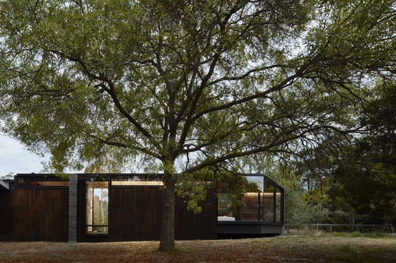 A Pavilion Between Trees by Branch Studio Architects | Detached houses