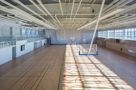 Sports Hall of the Jean-Louis Trintignant Middle School | Sports halls | NBJ architectes