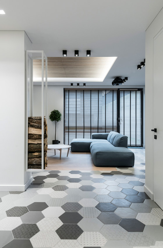 House Interior In Pavilniu Regioninis Parkas | Living space | Dizaino Virtuve