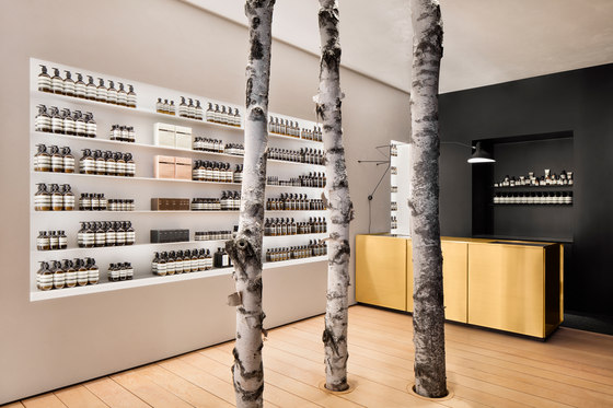 Aesop Westmount | Shop interiors | Alain Carle Architecte