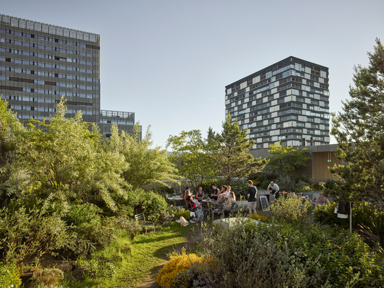 Dachterrasse Toni Areal | Gardens | Studio Vulkan Landschaftsarchitektur