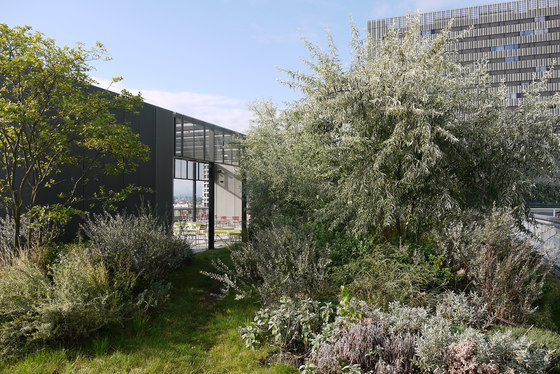 Dachterrasse Toni Areal | Gardens | Studio Vulkan Landschaftsarchitektur