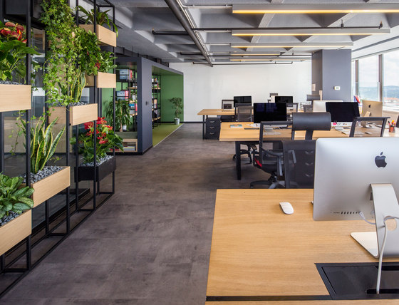 The Business Year | Office facilities | Slash Architects