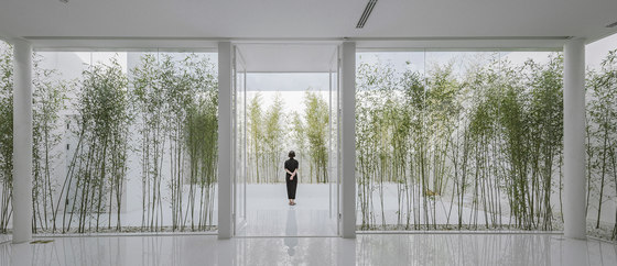 Bamboo Forest on the Roof von Hu Quanchun