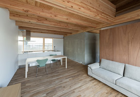 Hyōgo house | Maisons particulières | Tsubasa Iwahashi Architects