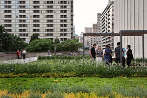Nathan Phillips Square | Gardens | Hoerr Schaudt Landscape Architects