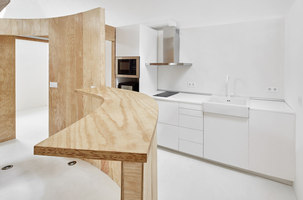 Apartment Tibbaut | Pièces d'habitation | Raul Sanchez Architects