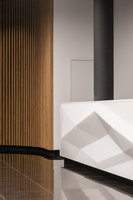 Nevka | Bürogebäude | Art Gluck Design Group