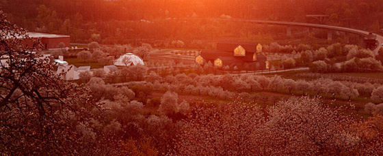Vitra