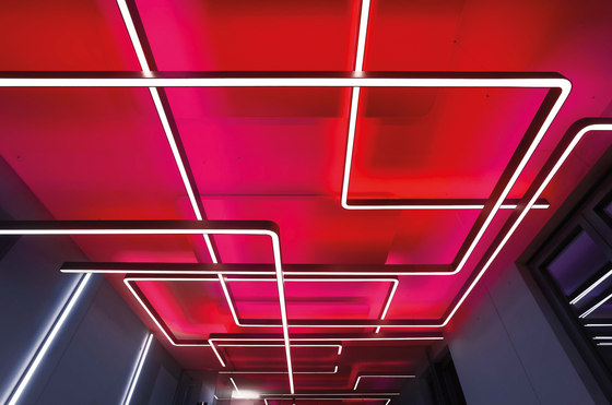 Lightnet