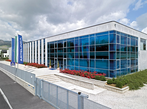 Artelinea