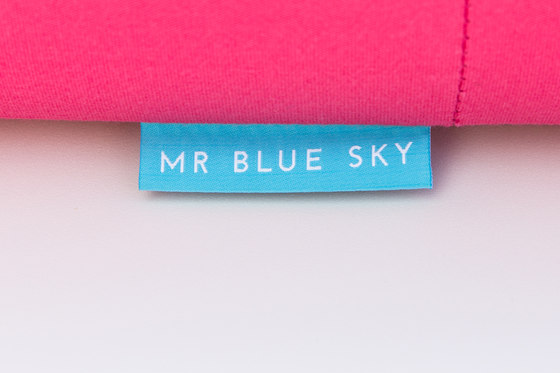 Mr Blue Sky