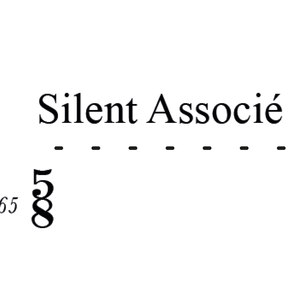 SILENT ASSOCIÉ 2017