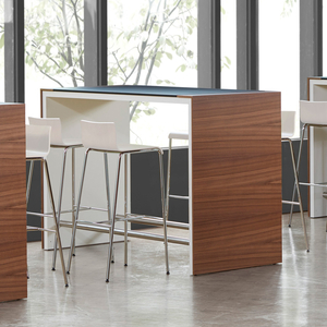 Stand-Sit Workstations