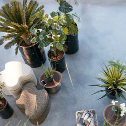Plantas Artificiales