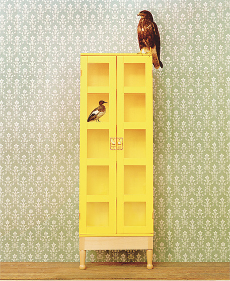 National Geographic | Display cabinets | Källemo