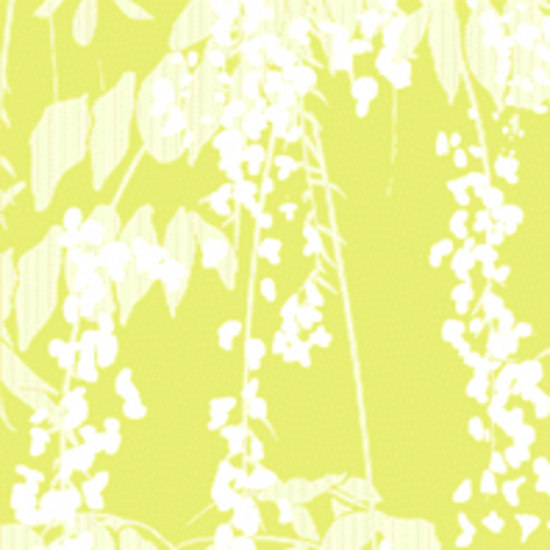 Wistaria wallpaper | Revêtements muraux / papiers peint | Kuboaa Ltd. wallpaper