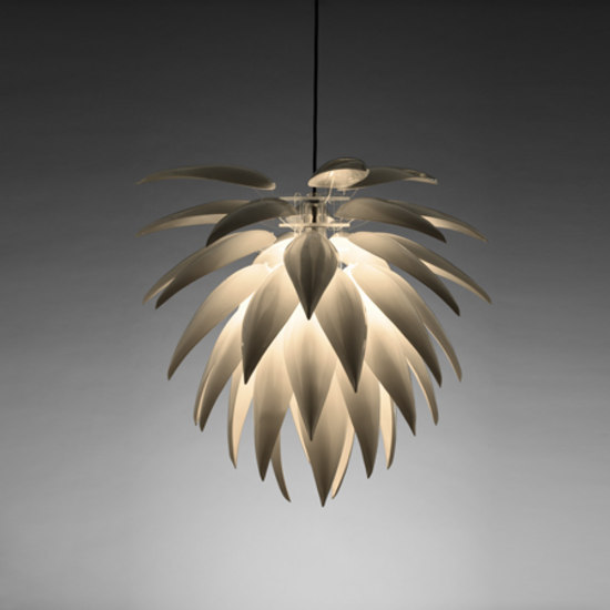 Aloe Blossom | Suspended lights | Jeremy Cole
