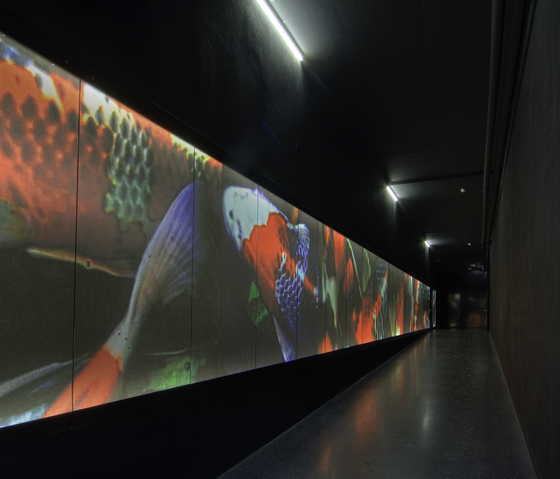 Brandingwall - Light walls | Terminales de información | BURRI