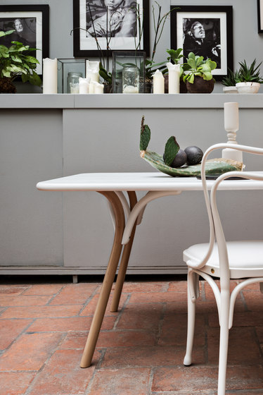 Loos Café Museum | Chairs | WIENER GTV DESIGN